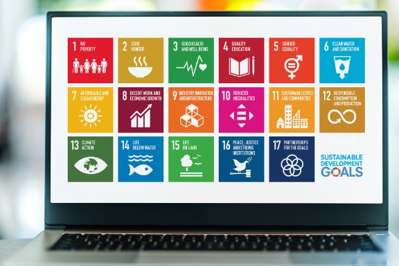 Sustainability goals Sustainability goals