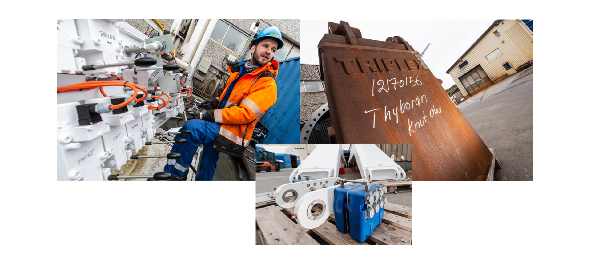 KTR Insight, Story: Auf Beutefang, Mosaik KTR Insight, Story: Auf Beutefang, Mosaik